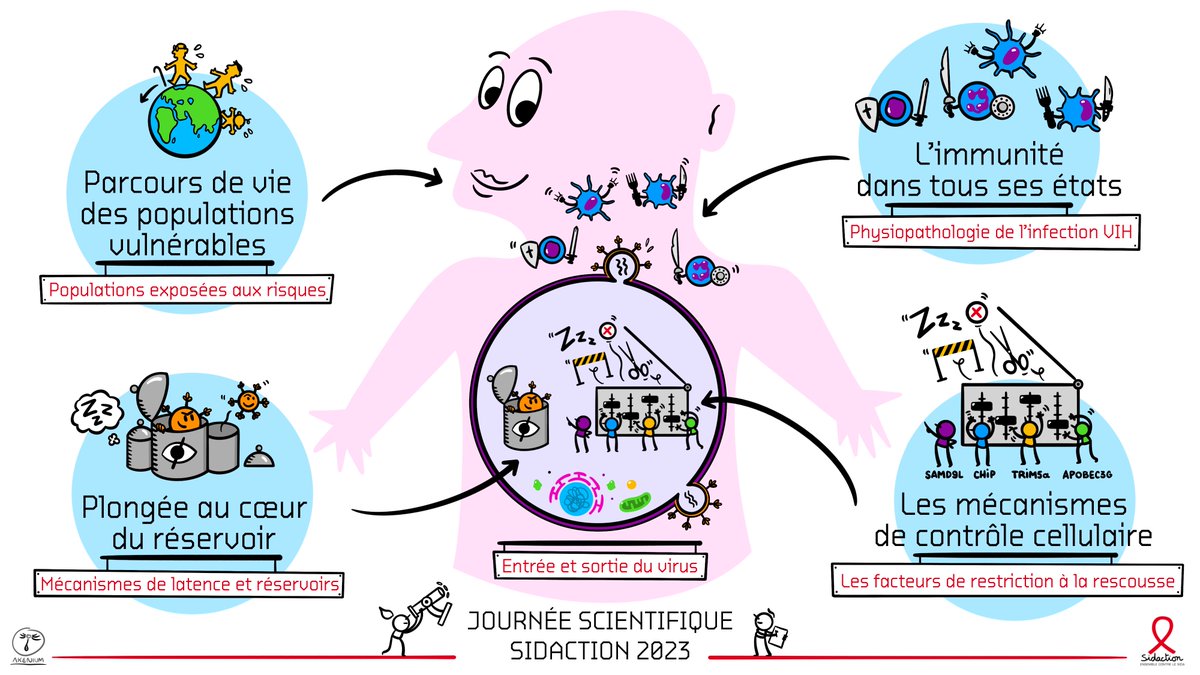 Sidaction cultive un travail de proximité avec les chercheurs en organisant tous les ans la Journée Scientifique Sidaction.

Ce vendredi 31 mars a ainsi lieu cette nouvelle rencontre où les chercheurs soutenus par notre association présentent leurs derniers résultats.