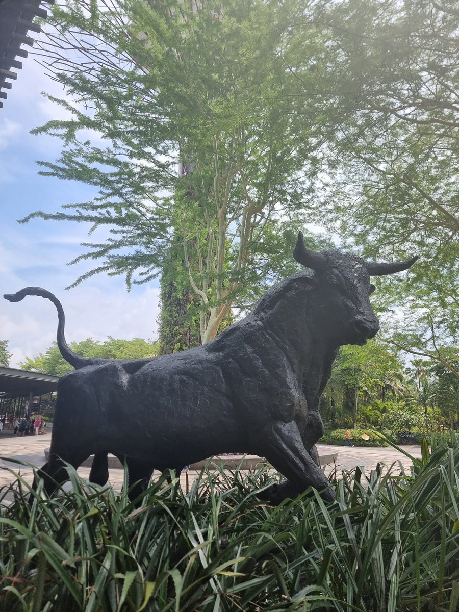 Feeling pretty bullish