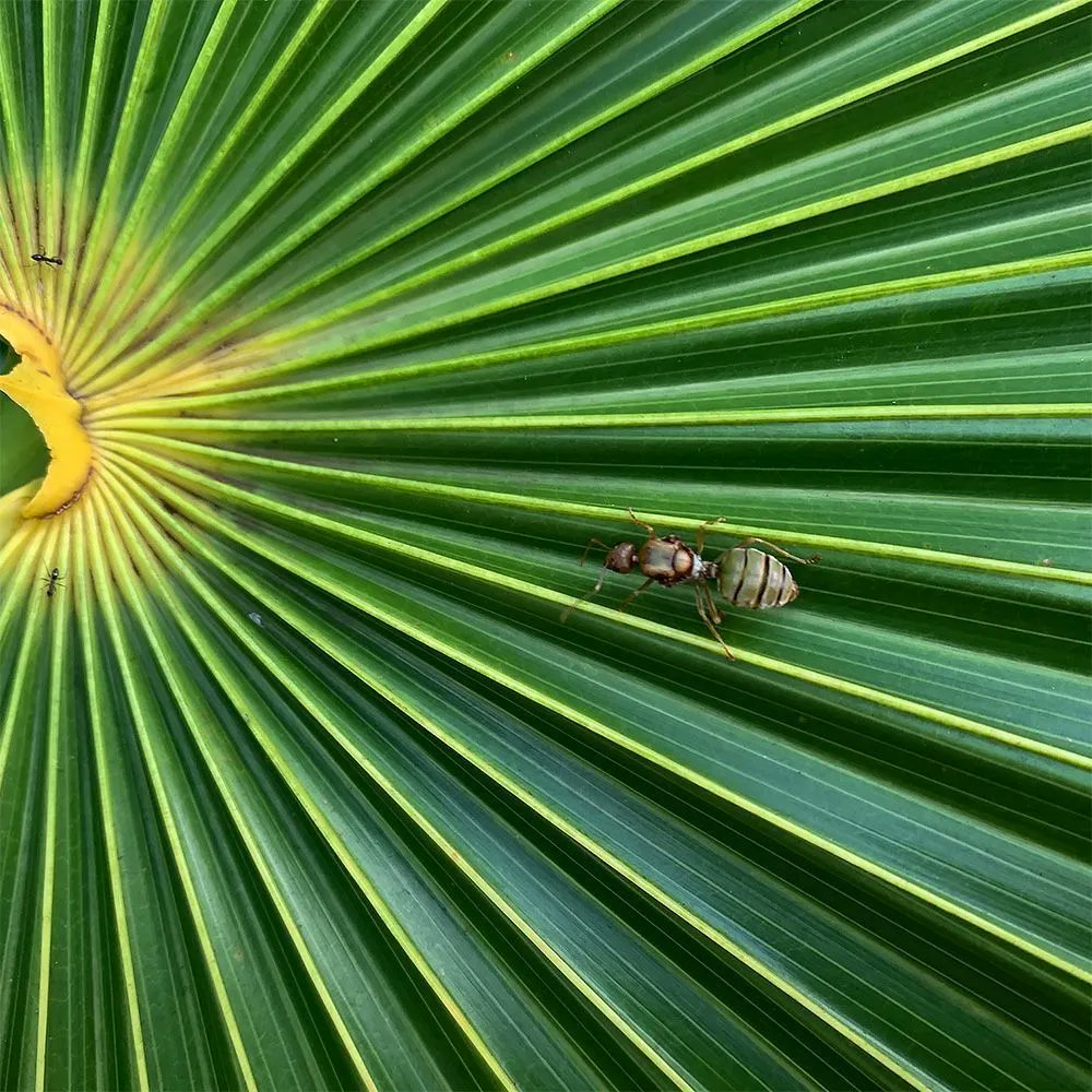 FINAL REMINDER for those with experience in wider GBIF community: 15 April is the application deadline for a six-month contract as Data Administrator!

Join the small team responsible for data content and quality and supporting data publishers and users: bit.ly/3YWopIW