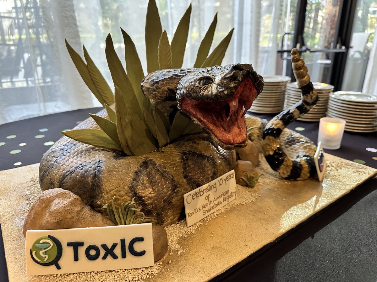 Michelle Ruha (@michelleruha) on Twitter photo Celebrating 10 years of the <a href="/acmtmedtox/">American College of Medical Toxicology</a> North American Snakebite Registry at #ACMT2023 with an incredible Crotalus atrox cake Celebrating 10 years of the <a href="/acmtmedtox/">American College of Medical Toxicology</a> North American Snakebite Registry at #ACMT2023 with an incredible Crotalus atrox cake