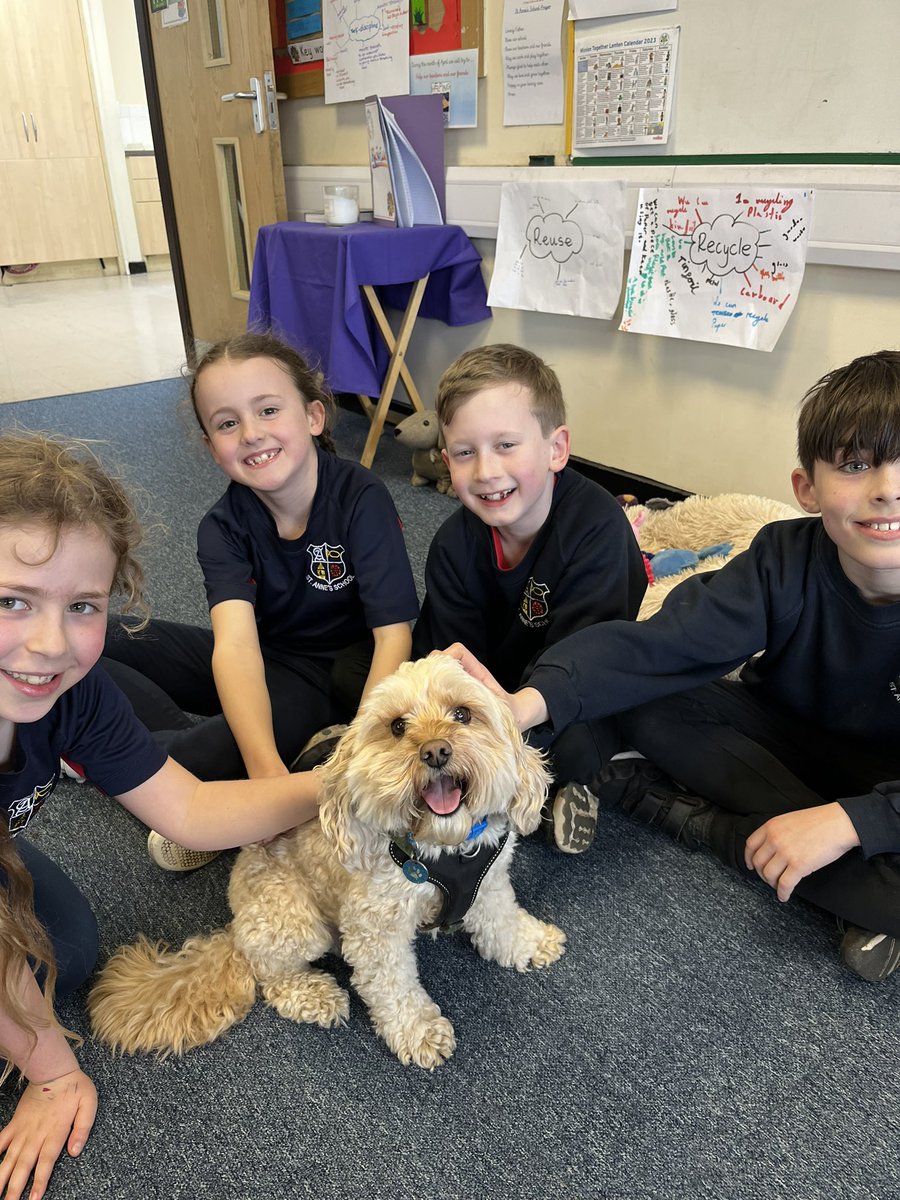 Class9RB's tweet photo. @StAnnesOrmskirk @class10CE  Year 4’s furry visitor came into school to teach them about dog safety and how to look after dogs! https://t.co/eLXeypjAE4