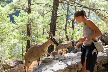 PressGreekEmbas's tweet image. Hiking in #Crete : myths, #monasteries , #mountains 
Threaded through steep mountains and ancient gorges, Crete’s network of #hiking trails offers insights into the soul of #Greece largest #island 
🔗https:nationalgeographic.co.uk/travel/2023/03… ⁦@NatGeoUK⁩ ⁦@MinTourGR⁩ 🥾