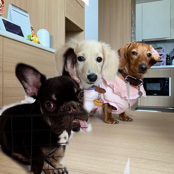 <a href="/srchafreen/">P'freen (real)</a>