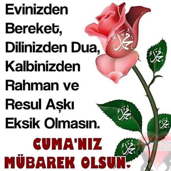 dark_asn's tweet photo. Melekler daima duacınız olsun… Yüreğiniz ferah, ilhamınız bol olsun… Sevgili Peygamberimiz, şefaatçiniz olsun… Cumanız mübarek olsun… https://t.co/1Xp9sQ5vmP