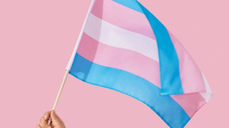 PopTingz's tweet photo. Happy trans visibility day!  💙💗🤍 https://t.co/HyVYjqZUSm
