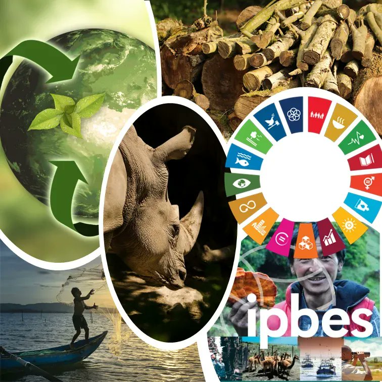 SAJournalofScience tweet media