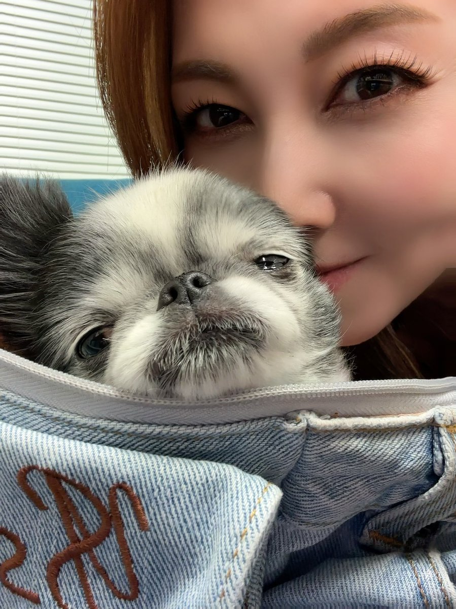 風間 ゆみ on Twitter: 今日は ありがとう😘 楽しかった🎶