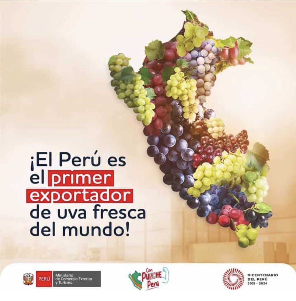 Dejo esto por aquí, cuando el Peru se lo propone LO LOGRA!!! Y ojo no solamente somos los numero 1 en kilos SOMOS LOS DE MEJOR CALIDAD DE UVA DEL MUNDO!!!