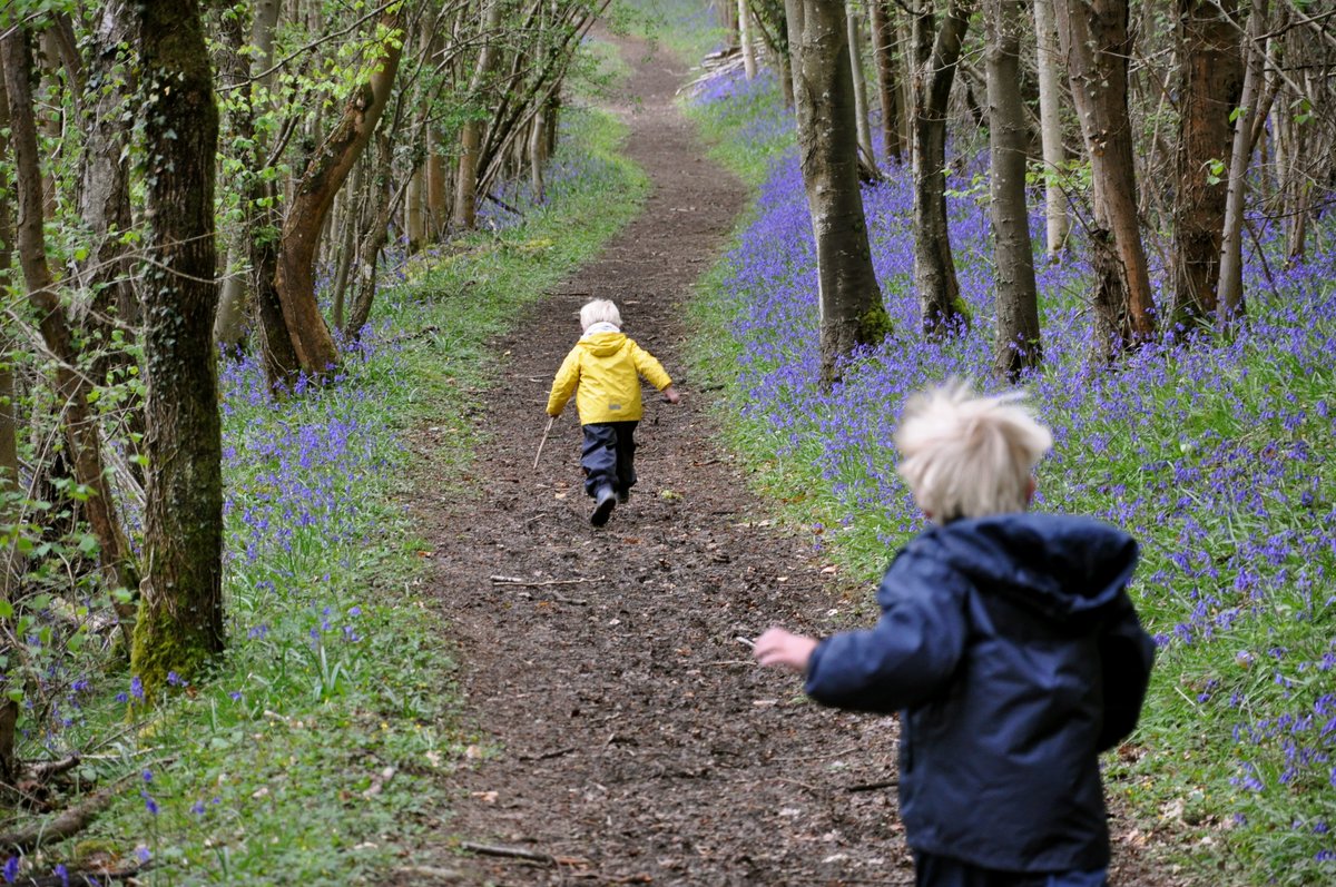 Want to get out and explore nature with the kids this Easter? 💚 🌱 Check out our list of fantastic events held at our Visitor Centres and Nature Reserves in Dorset here 👉 bit.ly/3rNWwEL ~ Jack #Easter #easterholidays 📸 Emma Bradshaw