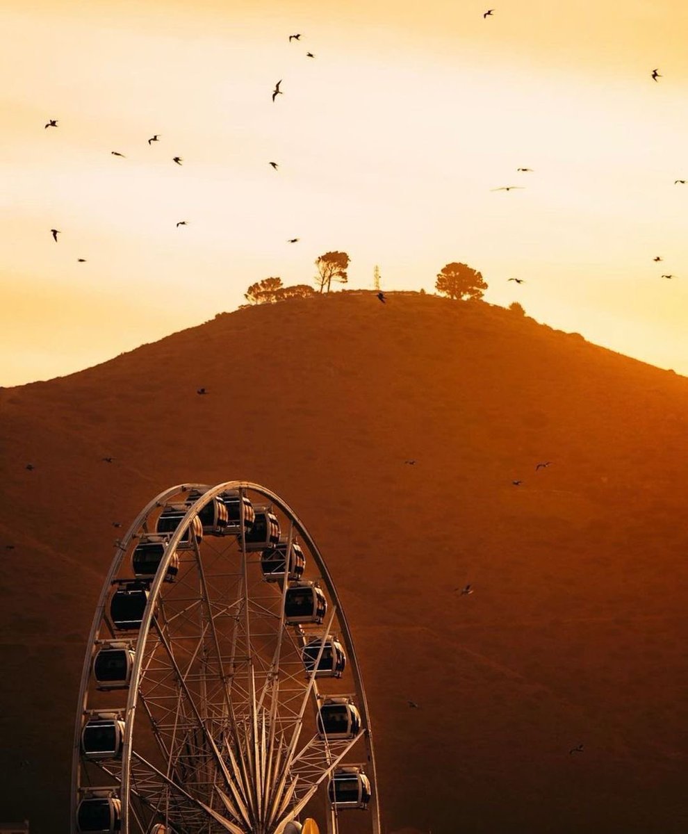 AkilangaTour's tweet photo. A Roda Gigante do Cabo, imperdível na lista de coisas para se fazer de qualquer turista 😃🎡

Foto de @kris.goes.traveling
Reposted from @southafrica

#ThisIsSouthAfrica https://t.co/uDglZr7dqy
