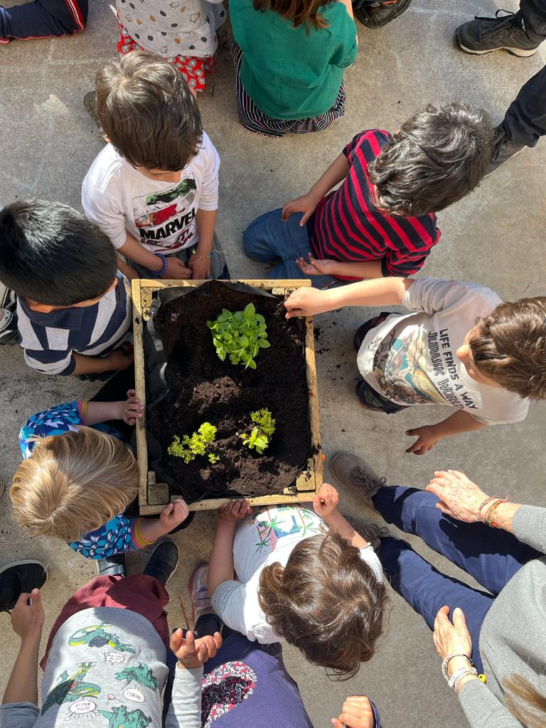 SomRiusEscola's tweet photo. Famílies, aquesta tarda us esperem per descobrir els QR de la #SetmanaVerda del Rius. Moltes gràcies a la comi verda de l' @AFASomRius pels tallers d'hort d'aquesta setmana i pels que vindran! 💚 @consorciedubcn @BCNeducadora @enverdim @horturbaalbalco @BCN_Ecologia @se_gracia06 https://t.co/YD8XKJ5q7m