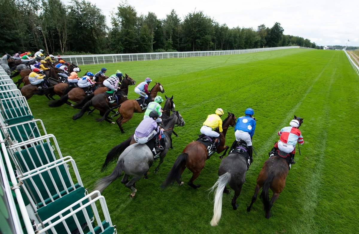 Racing Post tweet media