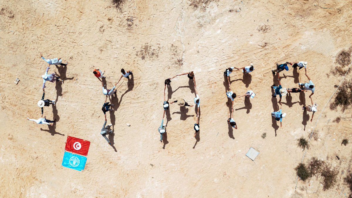 UN_FAO_GFCM's tweet photo. Today marks the end of the #IYAFA2022❗️ 
We are proud to have been part of this exciting year, celebrating #SSF &amp; #aquaculture workers.

Rewind on 12 months of achievements, initiatives &amp; successes in the #Mediterranean &amp; #Blacksea 

Read the full article:
https://t.co/wDqUmIjnWk https://t.co/VKFSkmfDLr
