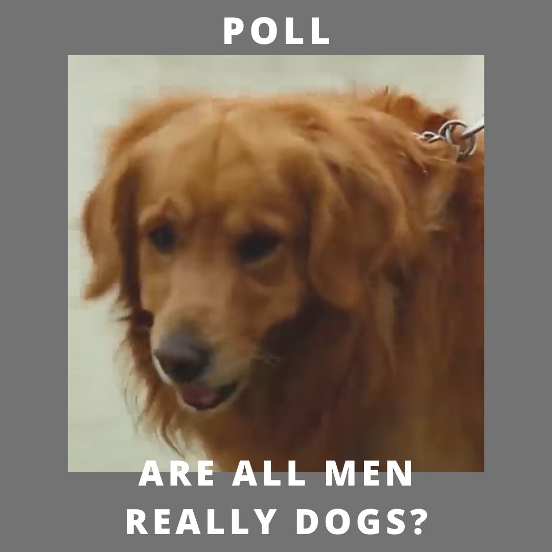 BingePrime's tweet photo. Yes or No?
#allmenaredogs #drama #shortfilm #film #filmmaking #filmmaker #filmfestival #director #cinema #indiefilm #cinematography #movie #actor #shortfilms #movies #art #bingeprime #ottplatform #moviestar #follow #instagram #socialmedia #bingeprime #BP #OTT #OTTplatforms https://t.co/MAWoiGLY1m