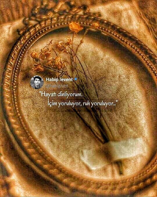 habip_levent's tweet photo. https://t.co/8cdAv1sHRi