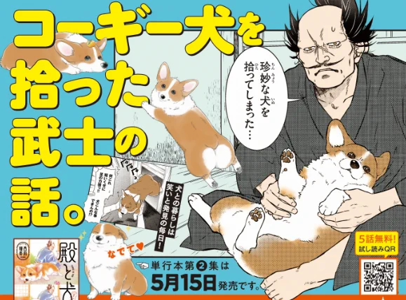 今回はちょこっと広告も作らせていただきました🥳こちらは5月が近づいたらお知らせしますね✨  殿の膝におさまりつつも 眉間にシワ寄ってる寄ってる犬( *'艸`)  #殿と犬 #単行本2巻は5月15日発売