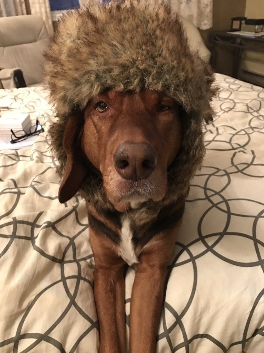 CancerWithGrace's tweet photo. @Phil_Sledge Oh Phil, do I have some pics for you!! I’m all about the head dress as I am a princess after all https://t.co/eWQ7NWMwy5