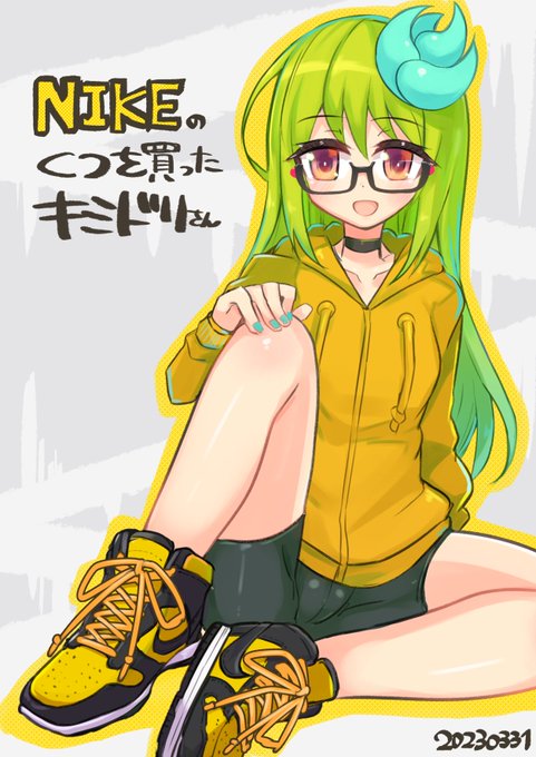 NIKEの靴を買ったのでうちのこに履かせてみました 