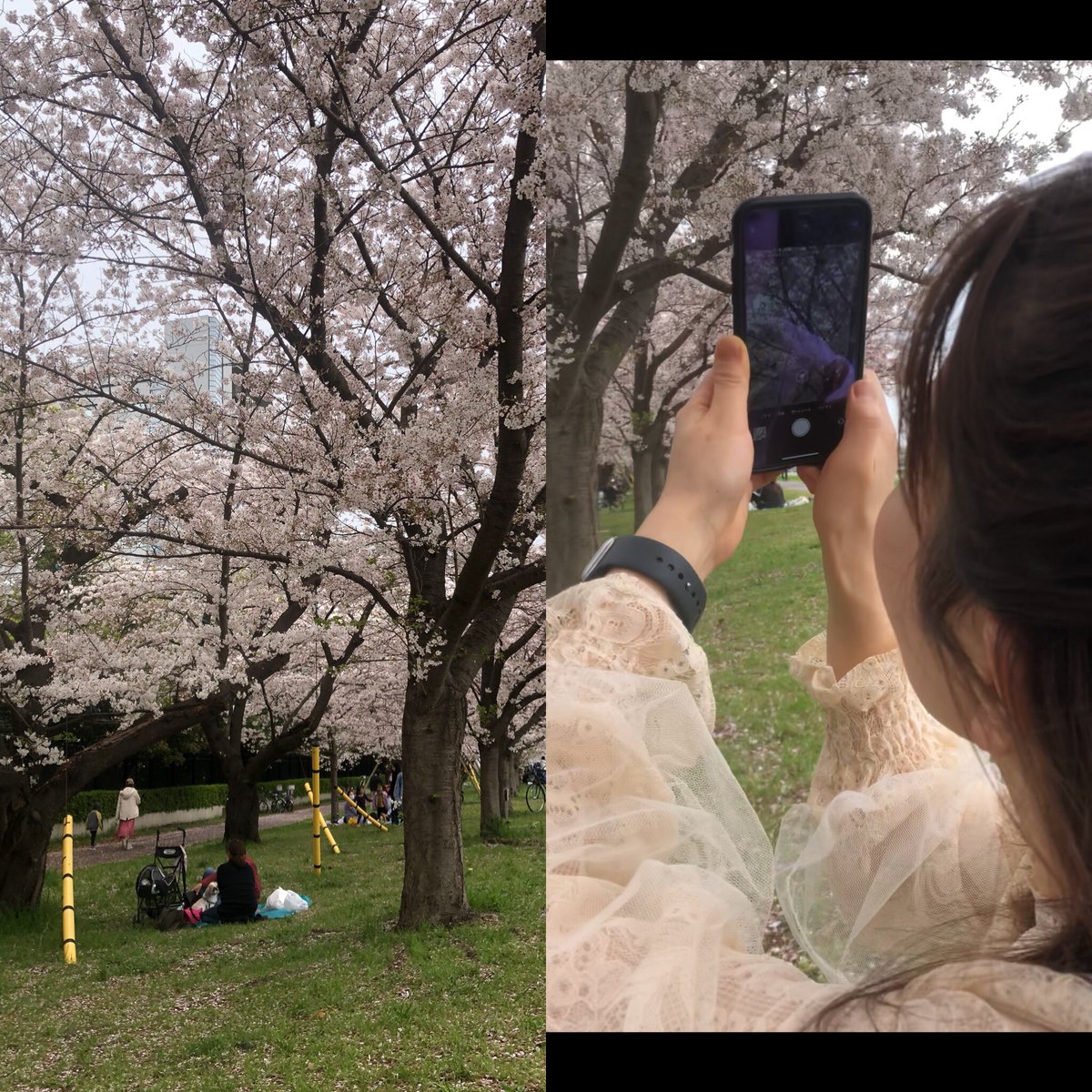 INabe0717's tweet photo. 今日初めて、嫁さんと多摩川で花見した。。

嫁さんの地元、、初めて行ったり楽しかった😃

相変わらず、、毎日、、新婚生活抜け切れてないけど、、結婚して良かったなーとしか思わせない嫁さんって、、やっぱり凄いなーって思う。。😃

早く子供来ないかなー笑 https://t.co/EH2wcW1OUa