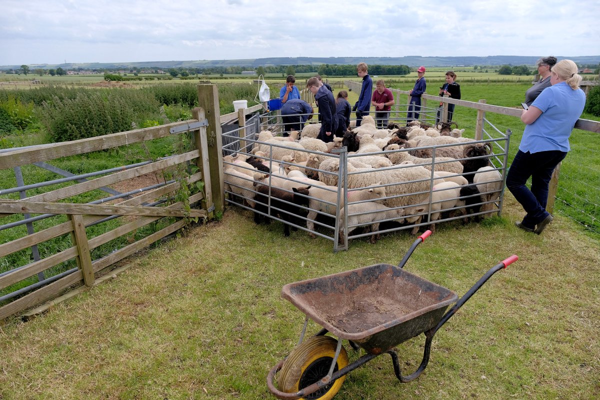 Did you know you can study animal care here at #Scarborough TEC?

Our courses will give you the chance to get up close with a wide variety of animals. You will learn how to care for them in a variety of ways; from animal health, nursing, welfare, feeding &amp; accommodation.