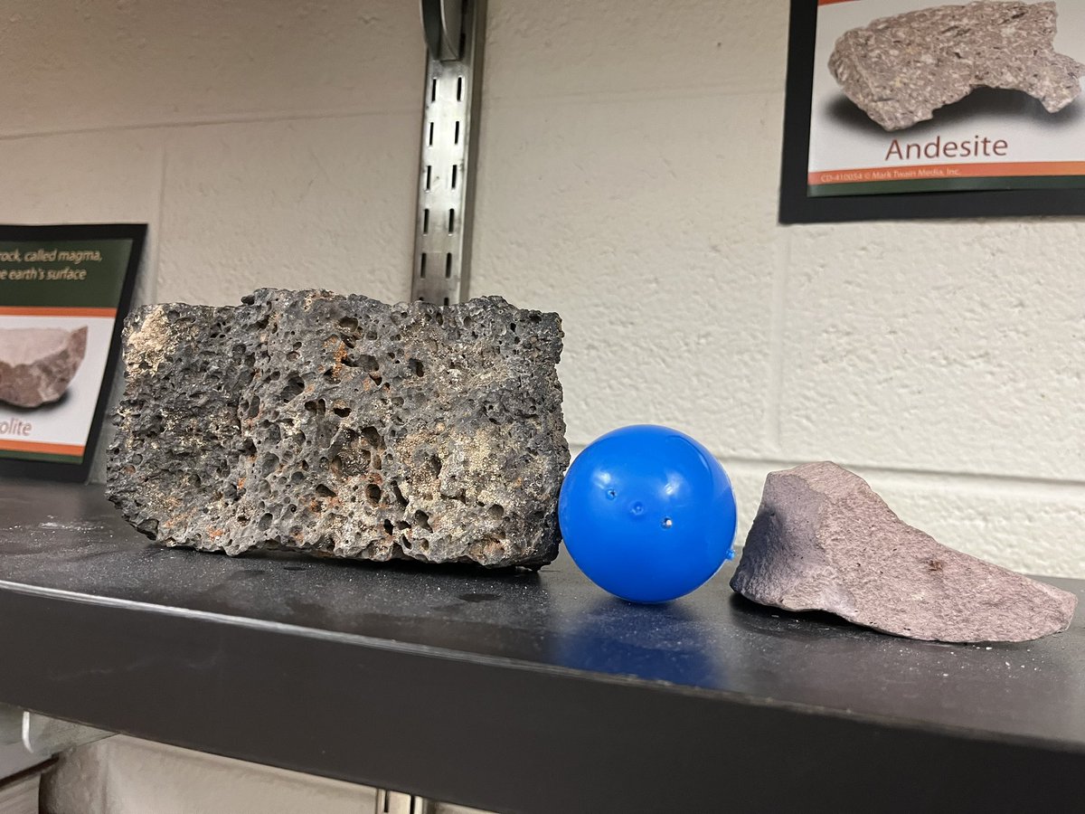 Susan Anderson tweet media