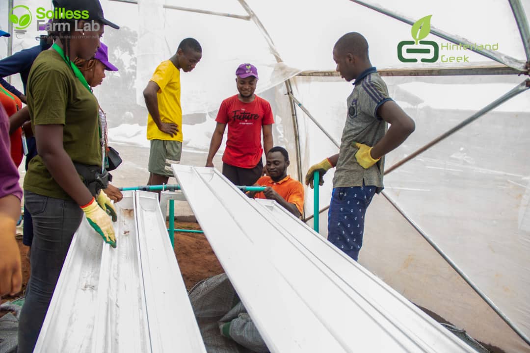 HinterlandGeek's tweet photo. *Training on modern agriculture (online and on ground)
Address: Awowo town, Abeokuta, Ogun State.
You can contact us through our social media handles for more enquiries:  

@hinterlandgeek on Facebook, Instagram and Twitter. 

       +234 816 0527 183
       +234 703 856 8203 https://t.co/Fu5LXfSGc1