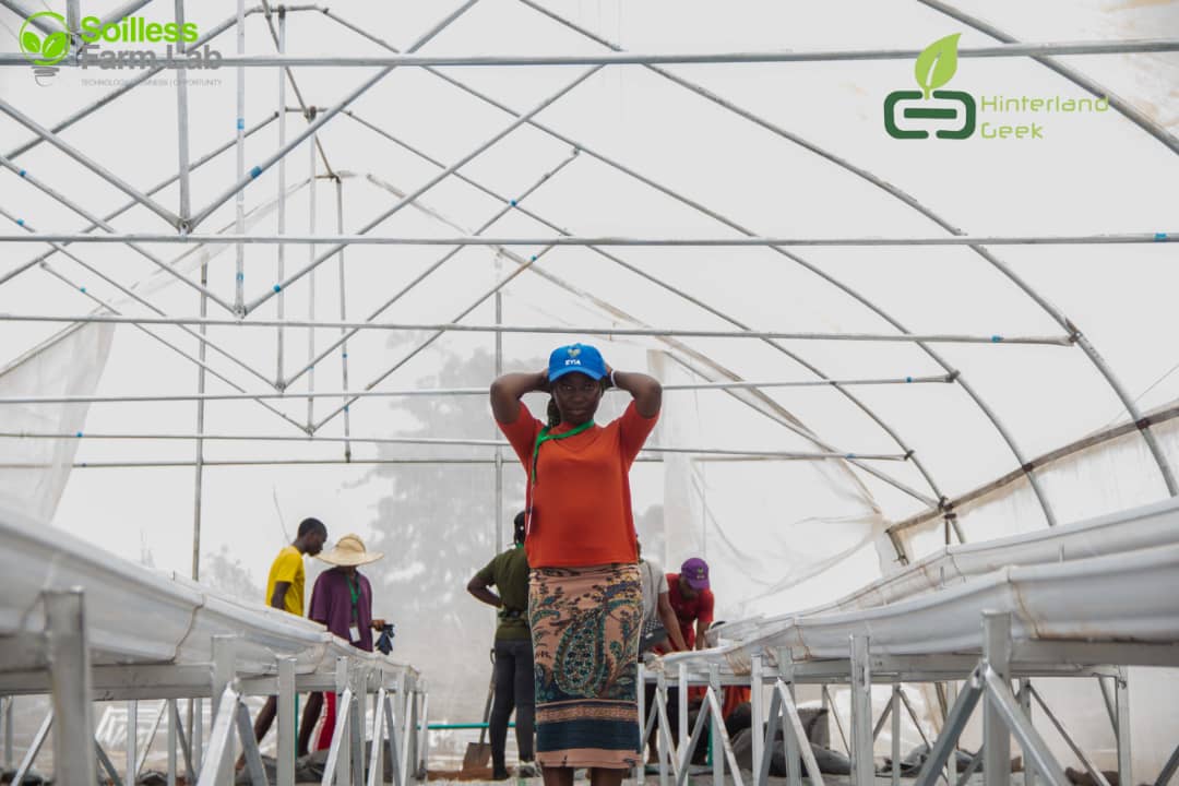 HinterlandGeek's tweet photo. *Training on modern agriculture (online and on ground)
Address: Awowo town, Abeokuta, Ogun State.
You can contact us through our social media handles for more enquiries:  

@hinterlandgeek on Facebook, Instagram and Twitter. 

       +234 816 0527 183
       +234 703 856 8203 https://t.co/Fu5LXfSGc1