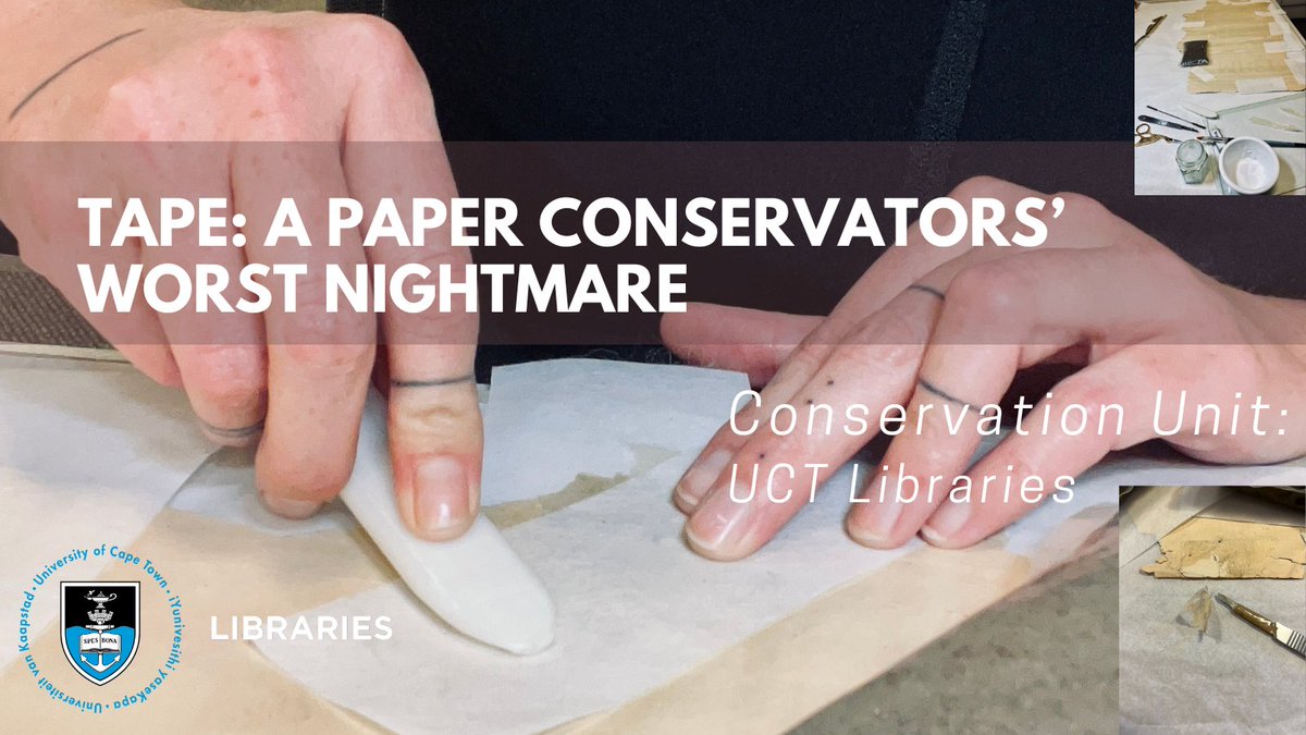 UCTLibrary_SC's tweet photo. Tape is a conservator's worst nightmare - while it is cheap, universally available, and convenient, the long-term effects to documents are disfiguring, damaging, and difficult to remove. 

Read more - https://t.co/LkBj73WHCs

#conservation #creativeconservation https://t.co/Xr7BC4lLzT