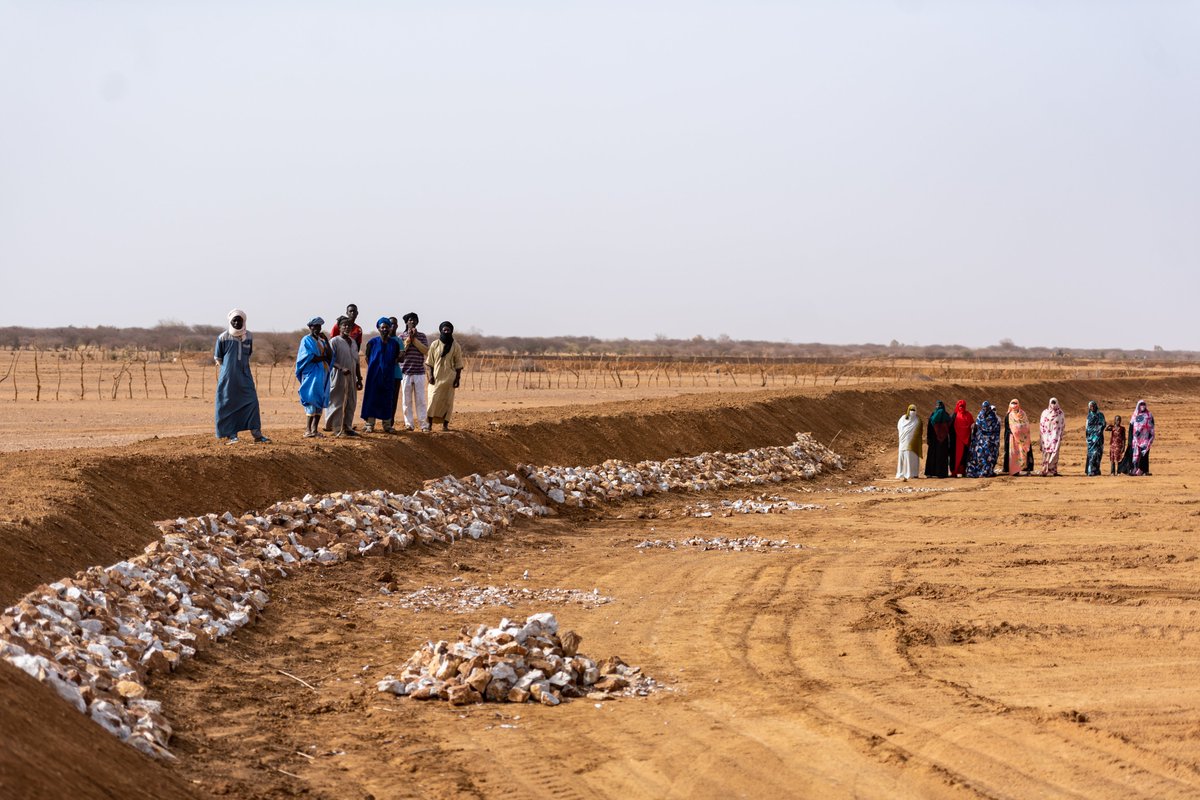 FIDAfriqueOuest's tweet photo. Face aux dérèglements du cycle de l'eau, agriculteurs et agricultrices doivent s’adapter et mettre au point des méthodes innovantes pour collecter, stocker et utiliser l’eau. 

Le FIDA les aide grâce à des infrastructures hydrauliques adaptées au climat simples mais efficaces. https://t.co/jPQEI192TO