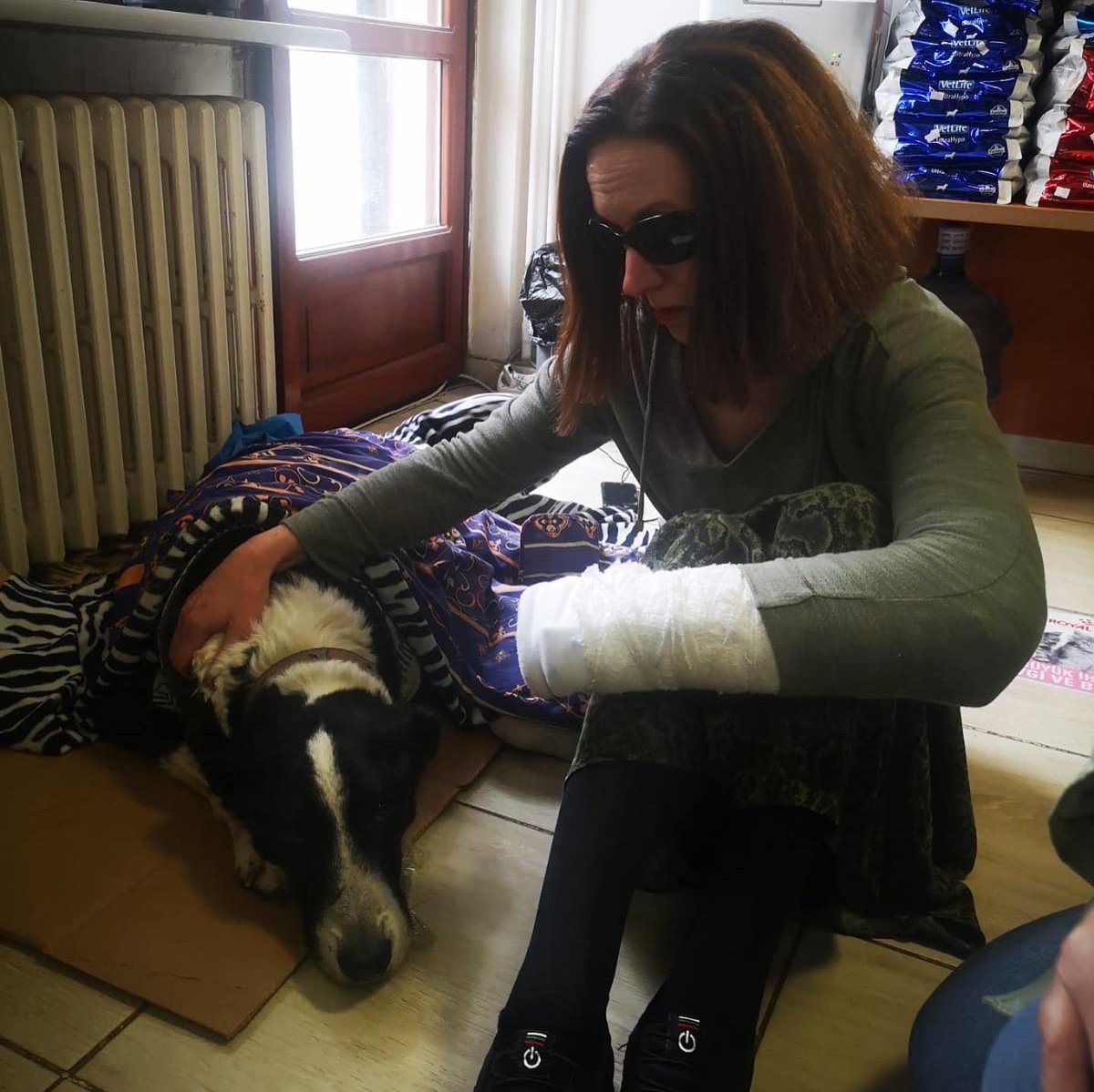 BU Paws tweet media