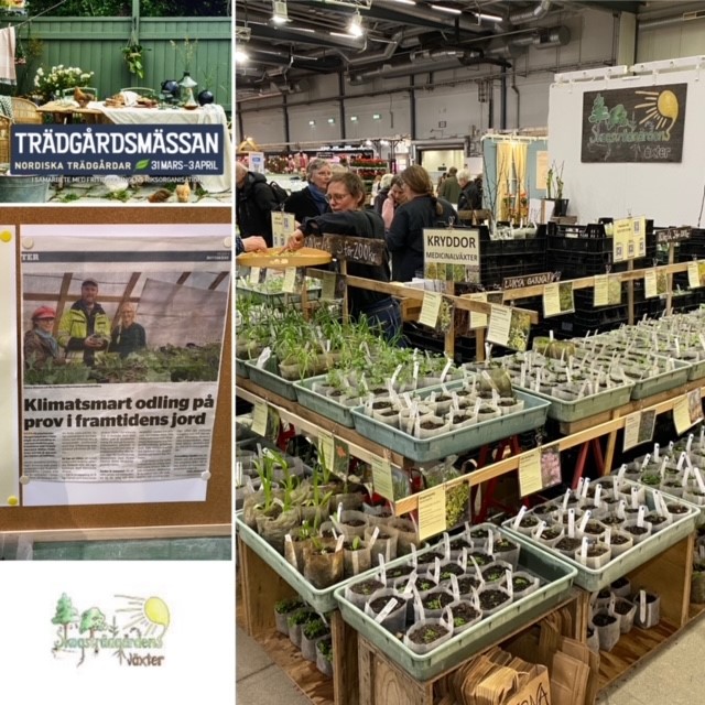 Skogsträdgårdens växter växer i framtidens jord!
Inspirerande att se så många fräscha växter till försäljning i mässmontern! En helt torv- och kokosfri jord som vi på #Weibulls tillverkat och som nu utvärderas av proffsen från Höör. #nordiskaträdgårdar #torvfri #jord