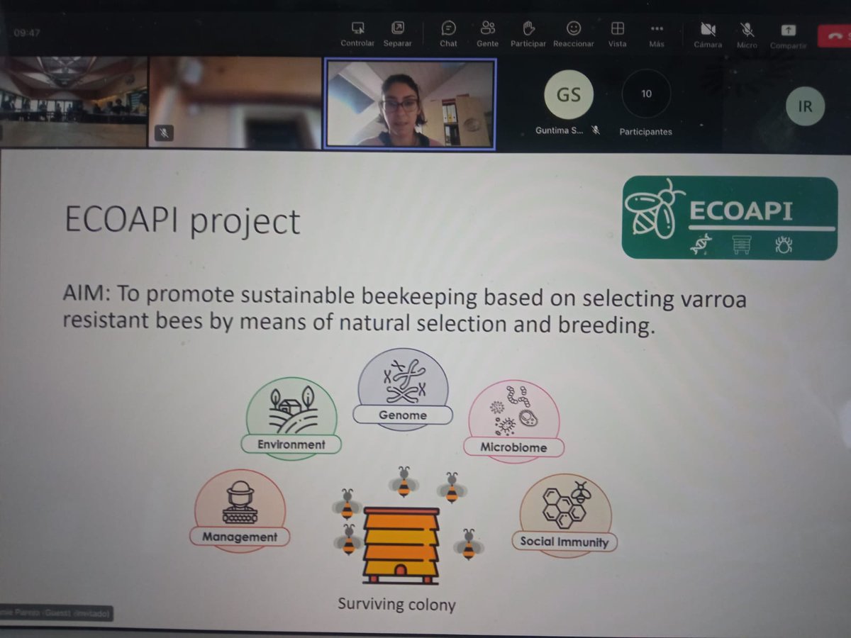 ECOAPI_AEI's tweet photo. Today, Melanie Parejo talked at #COLOSS_Survivors Conference  about our @ECOAPI_AEI  project, which aims to study honey bees that are more resilient against varroa. We are excited to continue our research and contribute to the betterment of bee populations. #beekeeping #research https://t.co/n3qkCnLGND