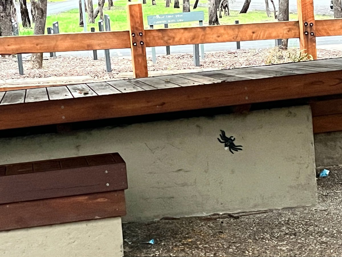 AnzKnight's tweet image. Spot the latest addition to the playground...
#killitwithfire