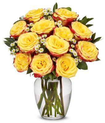 USAGiftDelivery's tweet photo. Here at the online portal of USA Gift Delivery, you can browse &amp; Buy Online Housewarming gift delivery in the USA, to make your dear ones feel special &amp; loved, without any extra delivery charges!  https://t.co/drQDRpD525 Call/WhatsApp+12029602879  #occasion #samedaydelivery https://t.co/9VS7N2vTQV