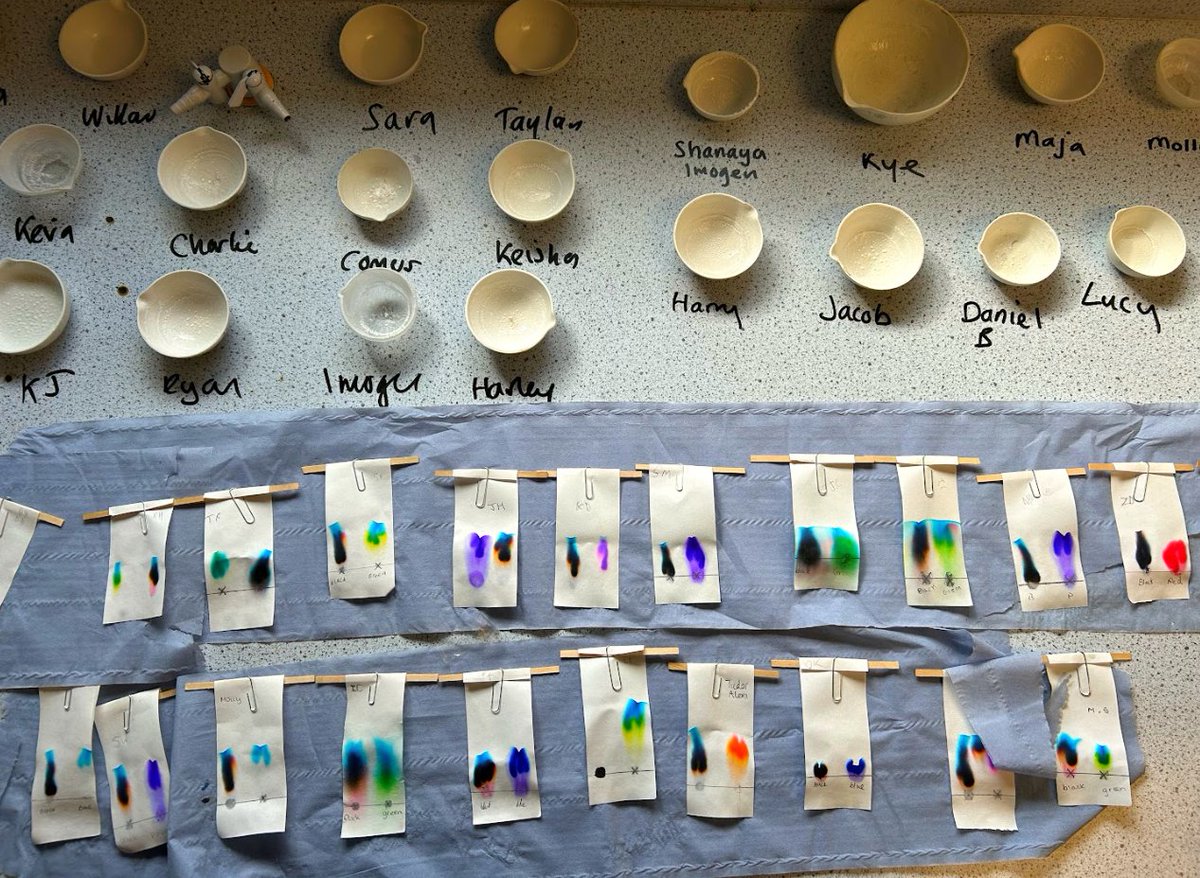 Year 7 have been hard at work separating mixtures and developing their practical skills #filtration #crystallisation #chromatography