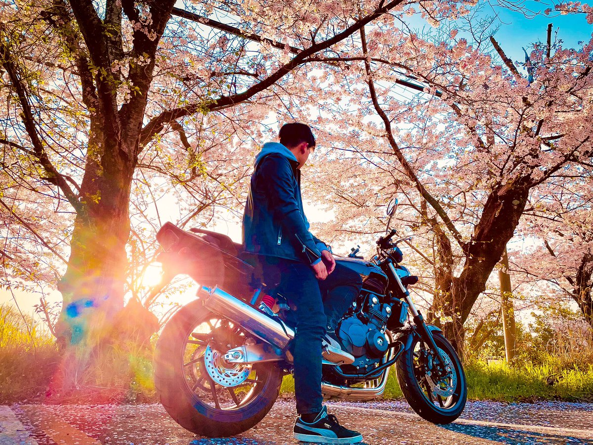 kyoppe_sub's tweet photo. 2023/3/31

お花見ツーリング🌸

#cb400sf #桜 https://t.co/lSnkwswdpP