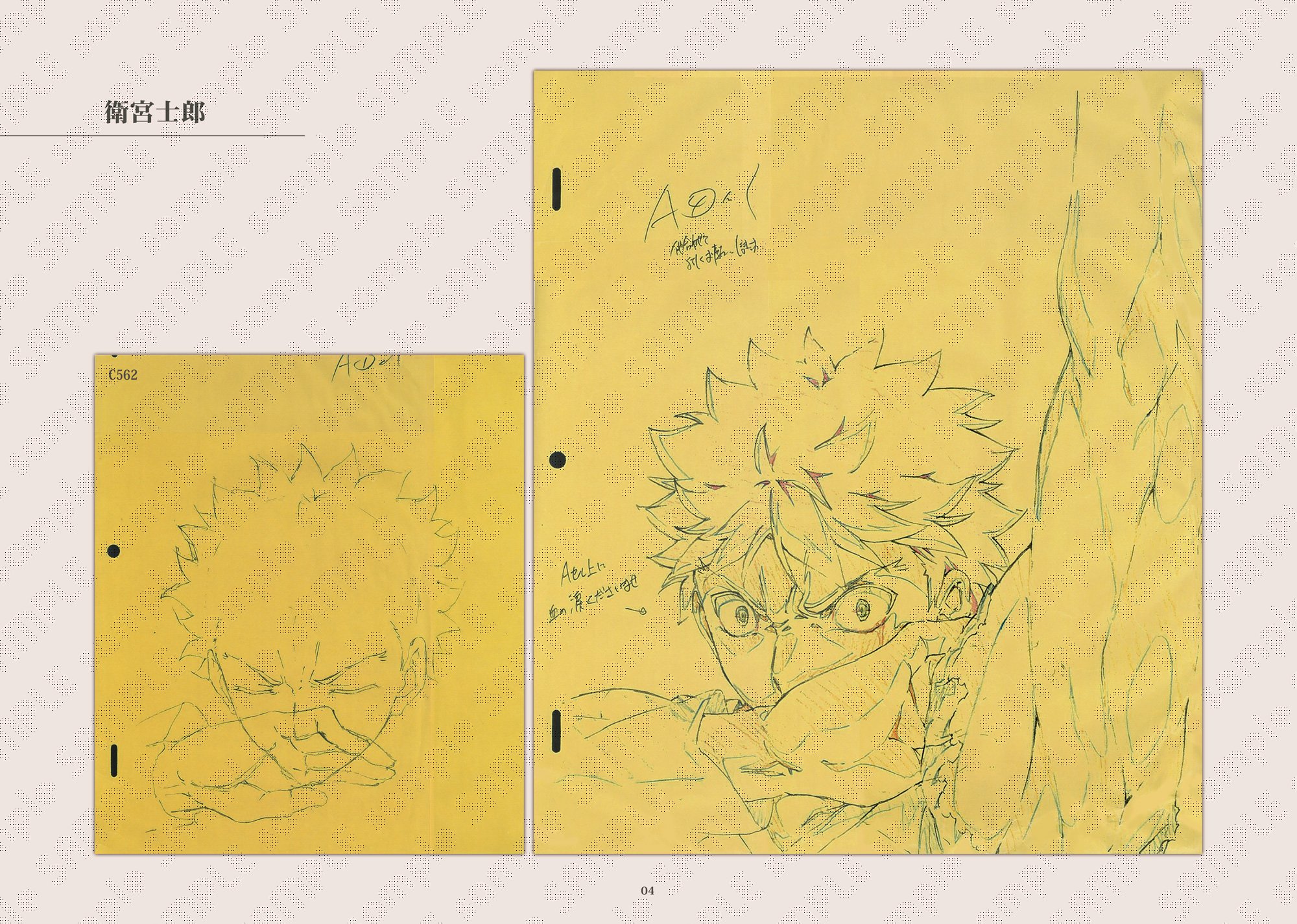 Fate heaven's feel 原画集+総作画監督修正集 2章 未開封品 Fate heaven's feel 原画集+総作画監督修正集 2章 未開封品