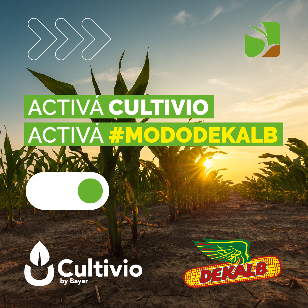 monchoehijos's tweet photo. En esta próxima campaña👉 Potenciate con #CULTIVIO👇
La plataforma técnica que te ayuda a posicionar el #Híbrido @DekalbArgentina    🌽 ideal para tu lote, con la densidad adecuada y la fertilización recomendada 📈

#Cultivio #MonchoAsesora #MonchoMásCerca https://t.co/kO138z31EV