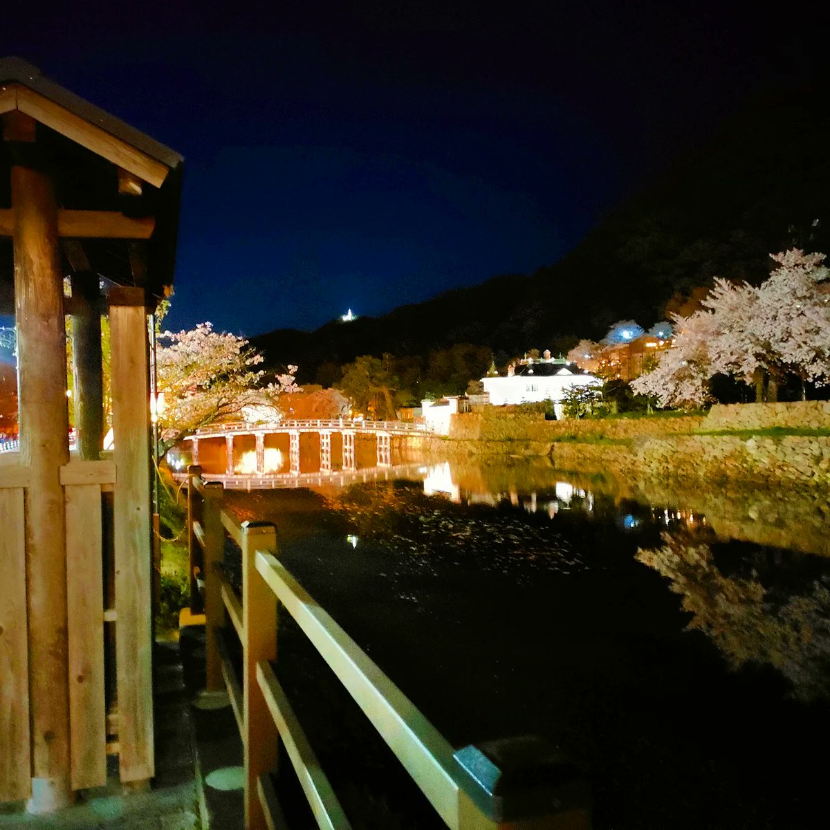 ホルモン焼きそばのカホリだけ噛み締めながらの仕事www腹減った〜
#桜