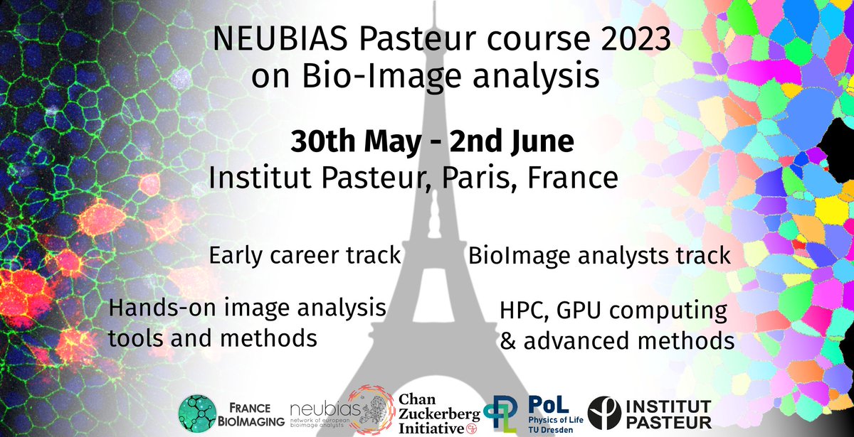 Interested in learning how to master bioimage analysis tools?

📅 30th May to 2nd June @institutpasteur Paris France

NEUBIAS Pasteur Course on #BioImageAnalysis

Two parallel tracks: 
- Early Career Investigators
- Analysts

More Info & Registration: research.pasteur.fr/en/course/neub…