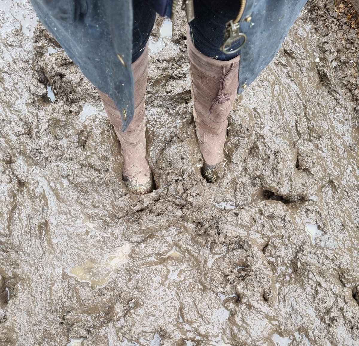 GilhamGremo's tweet photo. What a difference 24 hrs makes 😬😳🤫
#BloodyRain #MudMudMud #YesterdayWasMuchMoreFun🍷#RealityVsInsta #FarmLife #WorkLife https://t.co/Dm062cZbLl