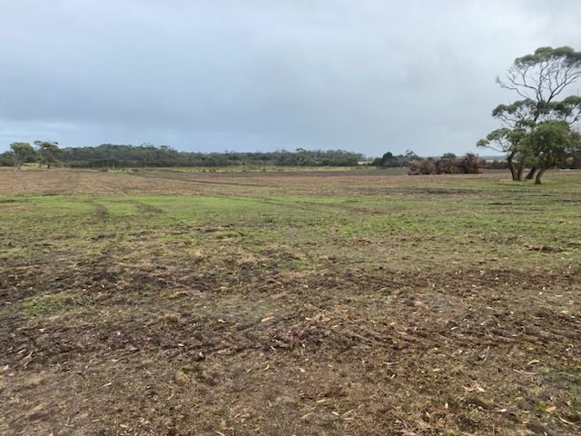 Rowan Smith (@drrwsmith) on Twitter photo Great afternoon talking with Circular Head Beef Producers Group about legumes in pastures and pasture renovation <a href="/TasInAg/">TIA</a> <a href="/RedMeatUpdates/">Red Meat Updates</a> <a href="/PinionAdvisory/">Pinion Advisory</a> Great afternoon talking with Circular Head Beef Producers Group about legumes in pastures and pasture renovation <a href="/TasInAg/">TIA</a> <a href="/RedMeatUpdates/">Red Meat Updates</a> <a href="/PinionAdvisory/">Pinion Advisory</a>