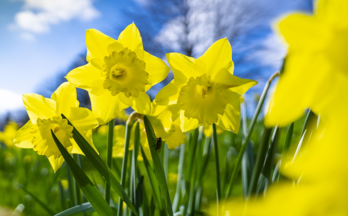 UoN Student Life #WeAreUoN tweet media