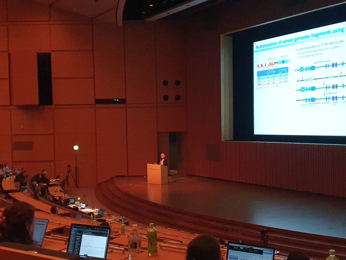 Manipulating large DNA fragments for making mouse models for diesae, a lesson by M-C Birling at the IMGC2023 in Tsukuba. <a href="/IMGC2023_sec/">IMGC2023</a> <a href="/impc/">IMPC</a> <a href="/IGBMC/">IGBMC</a>