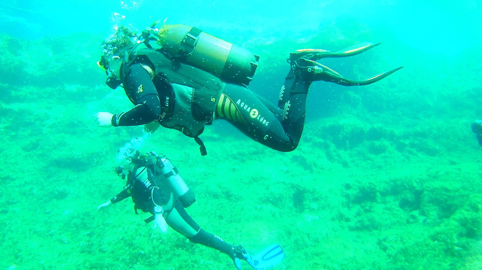 Wymondham College on Twitter "The sixth form students on the diving