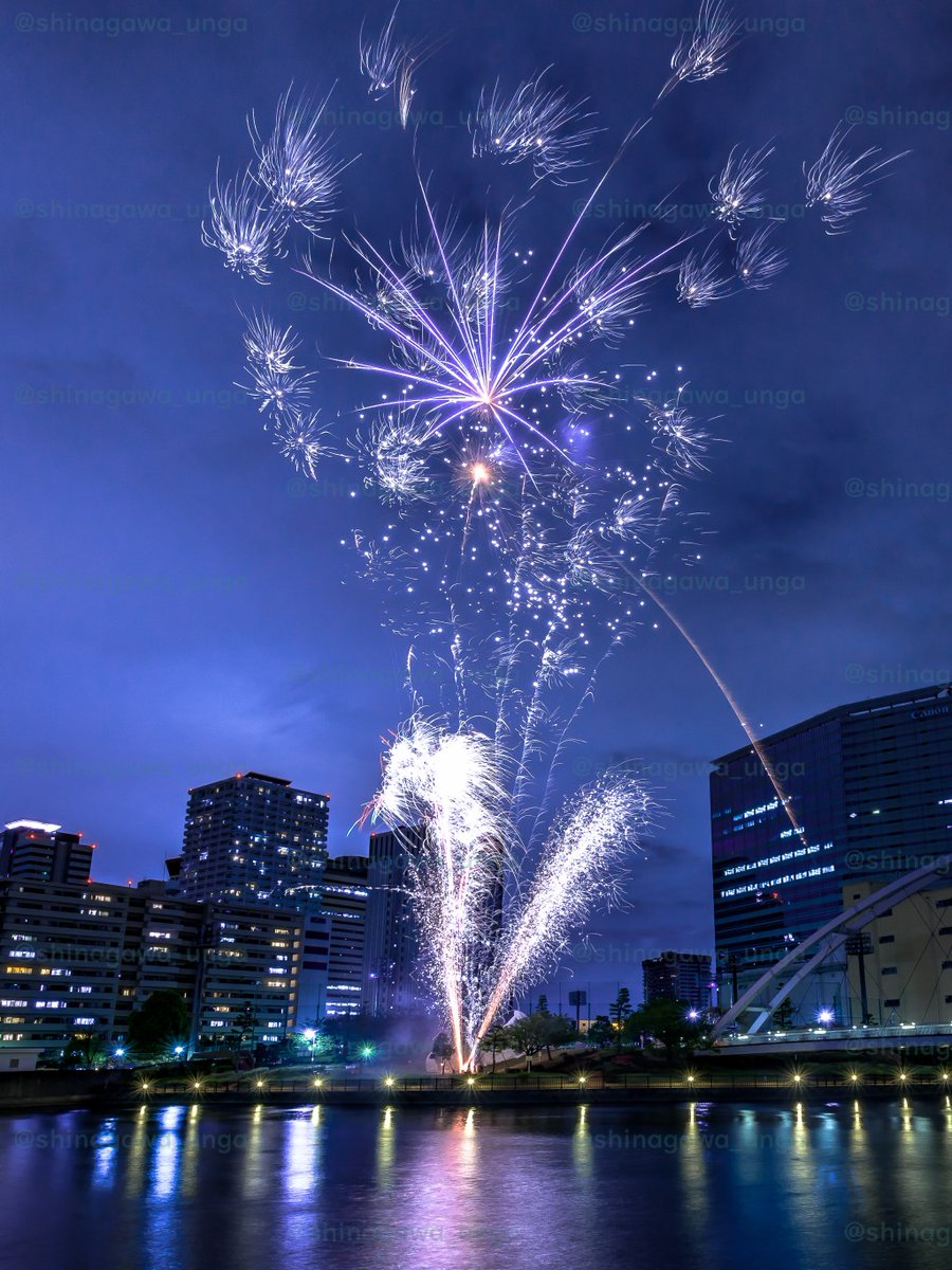しながわ運河まつり tweet media