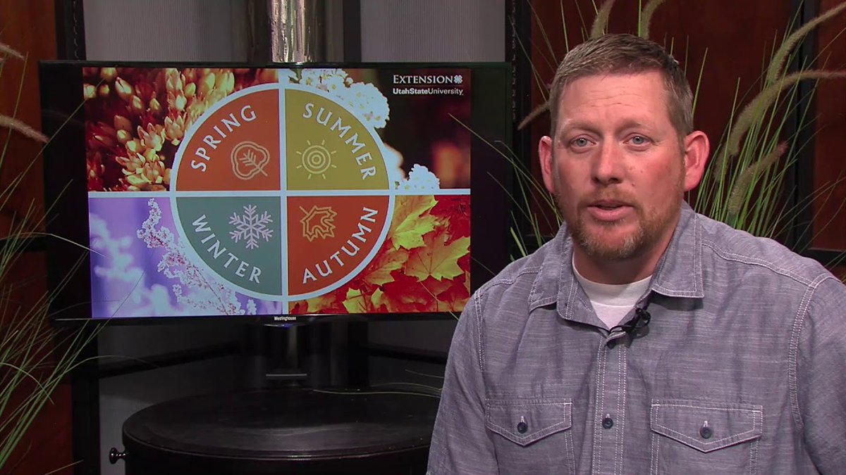 AllForGardening's tweet image. July Gardening Tips &amp;amp; Checklist
 
#CooperativeExtension #Extension #ExtensionService #GardenTips #GardenerTips
 
allforgardening.com/428154/july-ga…