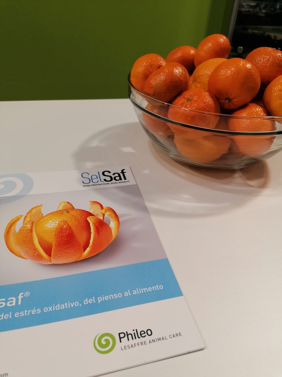 Come and meet Phileo by Lesaffre at the #FIGAN2023  for our last day in Zaragoza☀

Find us📍Hall 6. Alley H, stand 34-36

#Figan2023 #multispecies #animalcare #animalwelfare