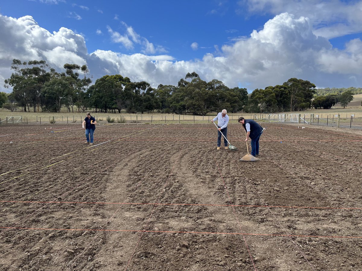 MiltonSite's tweet photo. The first trial for the autumn 2023 was sown today. The paddock was speed tilled before the Sub Clover trial was hand sown, raked and rolled. Thank you to all who helped out with preparation and sowing. #VickeryBros #McDonaldRuralServices #trials #2023 #subclover #agriculture https://t.co/IdvtBMshyw