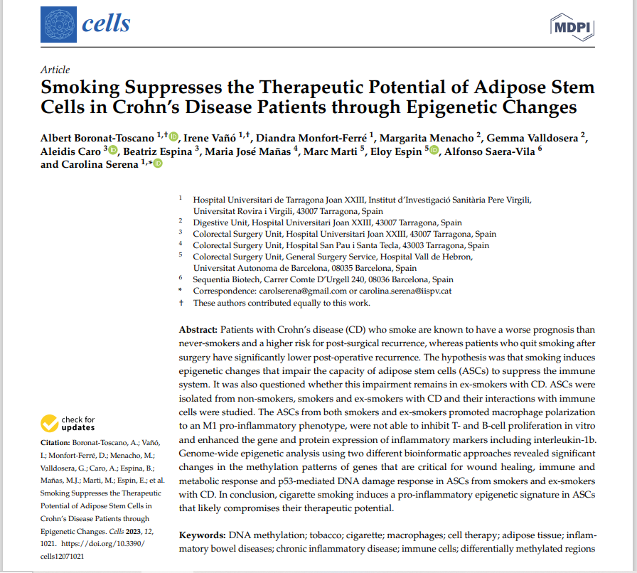 IBODI Group tweet media